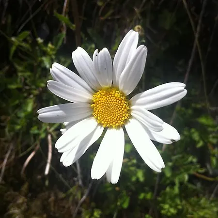 Appartamento Johanna