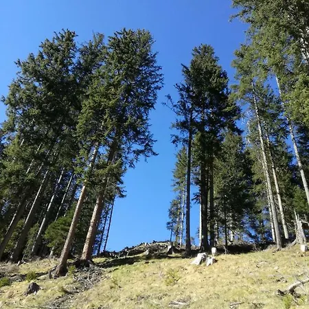 Appartamento Johanna Tux