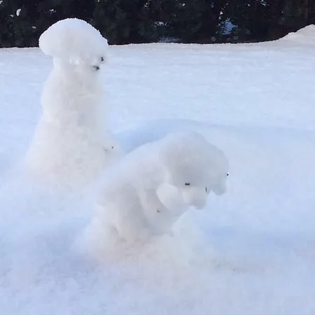 Διαμέρισμα Johanna