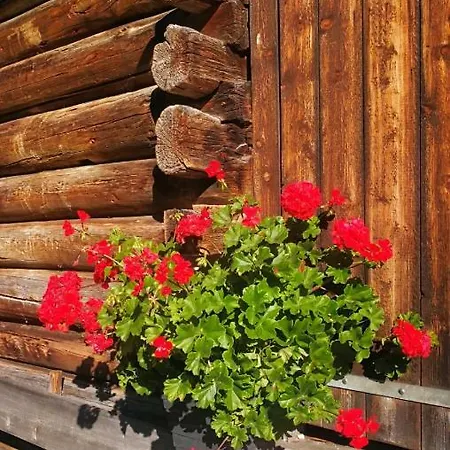 Johanna Appartamento *