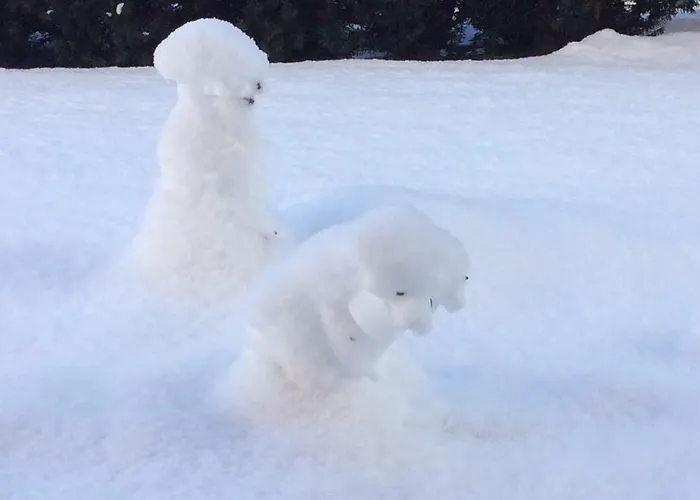 Διαμέρισμα Johanna