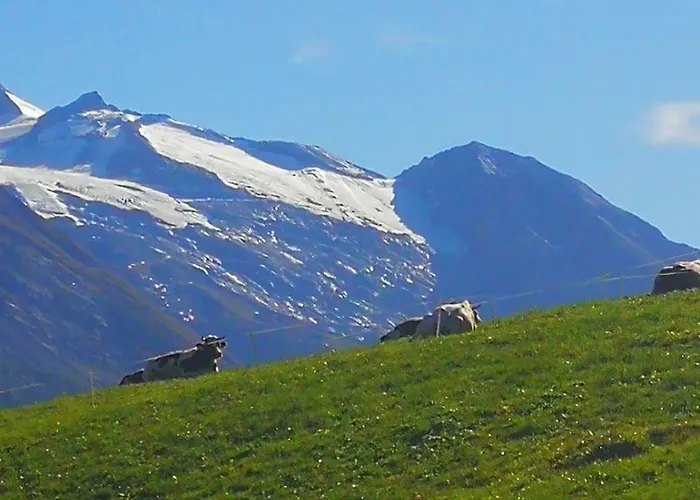 شقة Johanna تكس