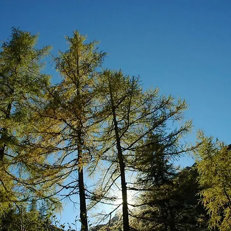 Johanna トゥクス