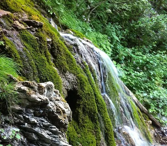 Johanna トゥクス