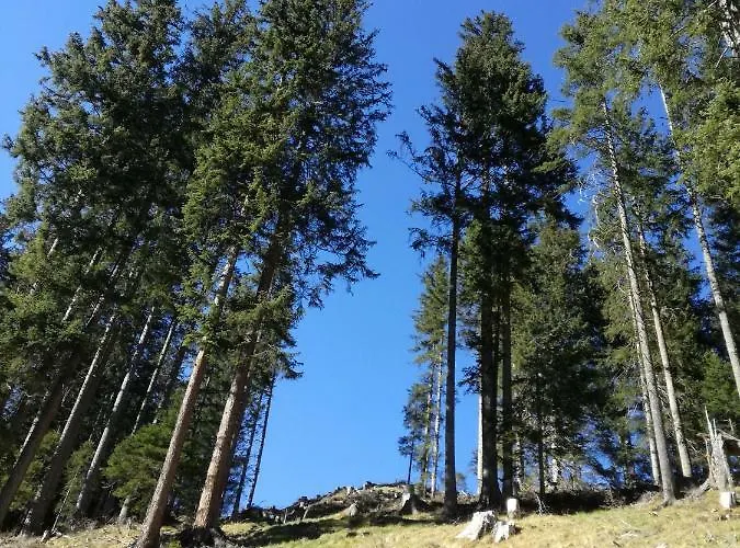 アパート Johanna トゥクス